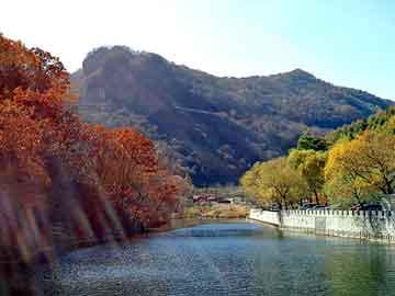 拼多多銷(xiāo)售額直播動(dòng)態(tài)，天津薊縣生豬價(jià)格實(shí)時(shí)播報(bào)