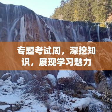 專題考試周，深挖知識(shí)，展現(xiàn)學(xué)習(xí)魅力
