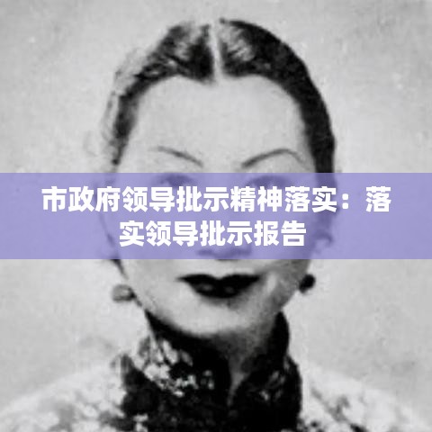 市政府領(lǐng)導(dǎo)批示精神落實(shí)：落實(shí)領(lǐng)導(dǎo)批示報(bào)告 