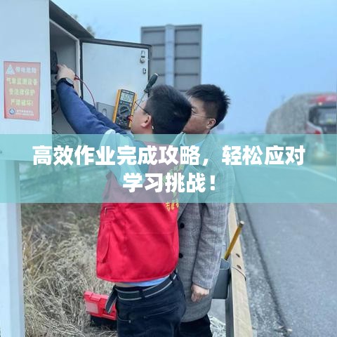 高效作業(yè)完成攻略，輕松應(yīng)對(duì)學(xué)習(xí)挑戰(zhàn)！