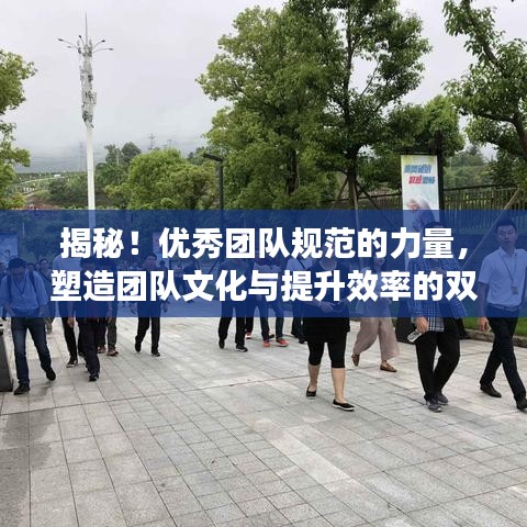 揭秘！優(yōu)秀團(tuán)隊(duì)規(guī)范的力量，塑造團(tuán)隊(duì)文化與提升效率的雙重秘訣
