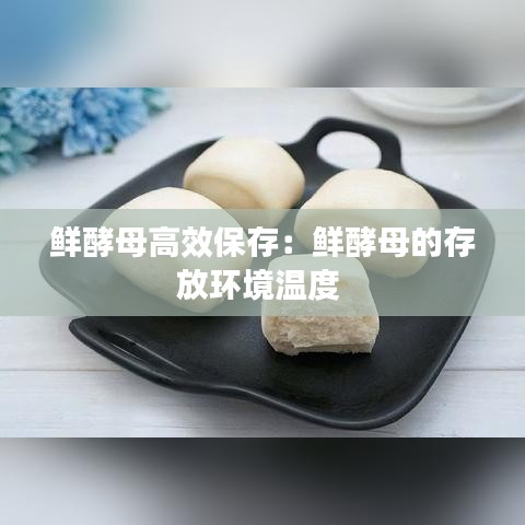 鮮酵母高效保存：鮮酵母的存放環(huán)境溫度 