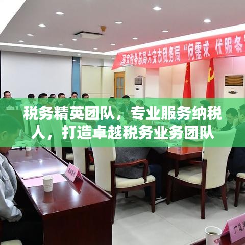 稅務(wù)精英團(tuán)隊(duì)，專業(yè)服務(wù)納稅人，打造卓越稅務(wù)業(yè)務(wù)團(tuán)隊(duì)