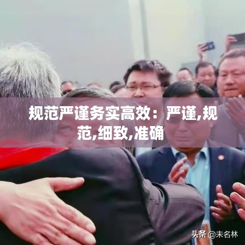 規(guī)范嚴(yán)謹(jǐn)務(wù)實(shí)高效：嚴(yán)謹(jǐn),規(guī)范,細(xì)致,準(zhǔn)確 