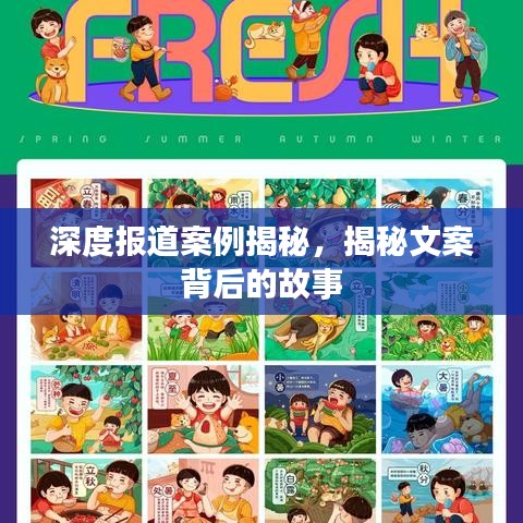 深度報道案例揭秘，揭秘文案背后的故事
