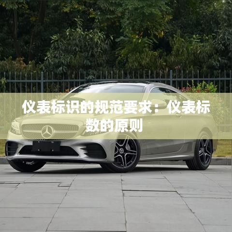 儀表標(biāo)識(shí)的規(guī)范要求：儀表標(biāo)數(shù)的原則 