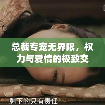 百鳥(niǎo)齊鳴 第4頁(yè)