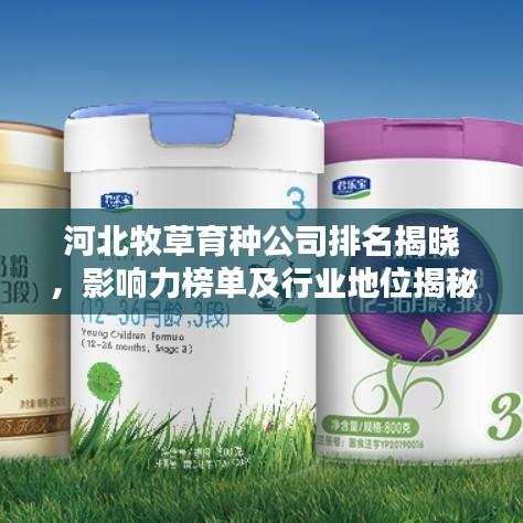 河北牧草育種公司排名揭曉，影響力榜單及行業(yè)地位揭秘