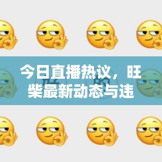 今日直播熱議，旺柴最新動態(tài)與違法犯罪問題探討深度解析
