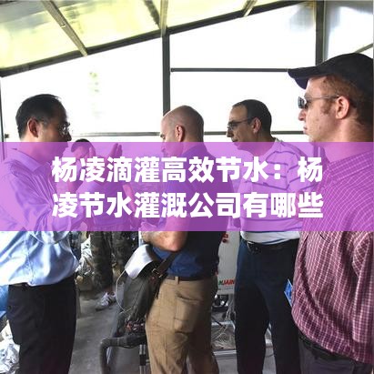 楊凌滴灌高效節(jié)水：楊凌節(jié)水灌溉公司有哪些 