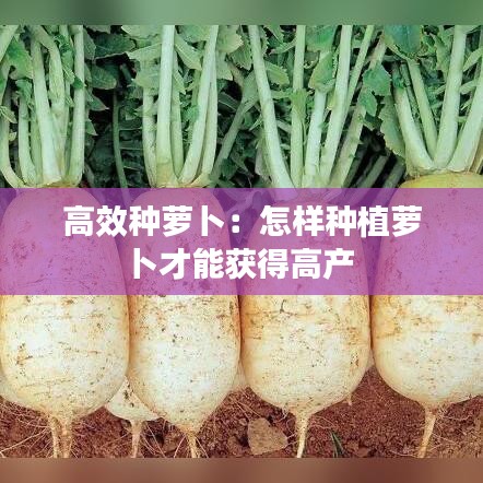 戰(zhàn)天斗地 第3頁