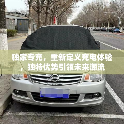 獨(dú)家專充，重新定義充電體驗(yàn)，獨(dú)特優(yōu)勢(shì)引領(lǐng)未來(lái)潮流