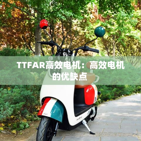 TTFAR高效電機(jī)：高效電機(jī)的優(yōu)缺點(diǎn) 