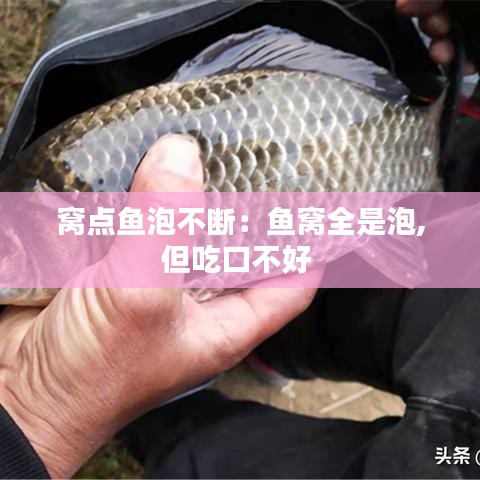 窩點(diǎn)魚泡不斷：魚窩全是泡,但吃口不好 