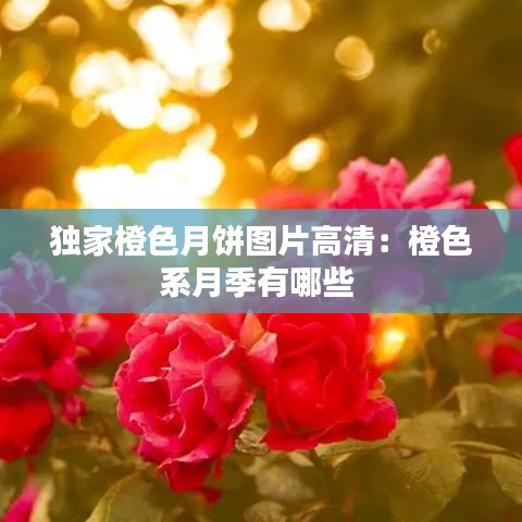 聯(lián)系我們 第124頁