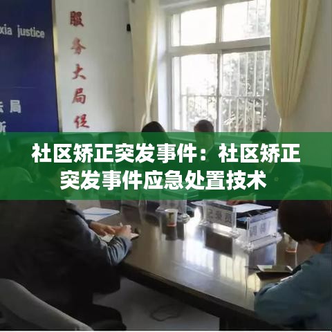 社區(qū)矯正突發(fā)事件：社區(qū)矯正突發(fā)事件應急處置技術 