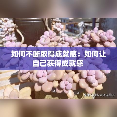 如何不斷取得成就感：如何讓自己獲得成就感 