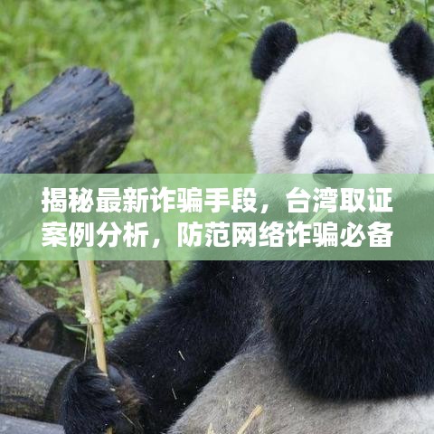 救急包 第122頁