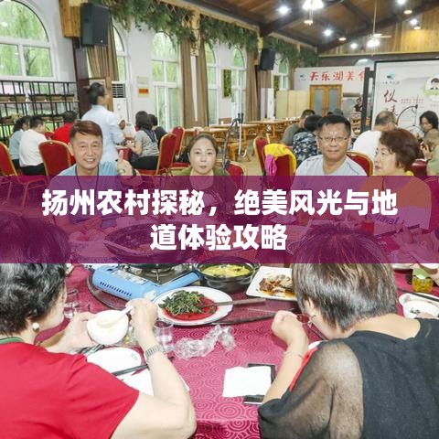揚(yáng)州農(nóng)村探秘，絕美風(fēng)光與地道體驗(yàn)攻略