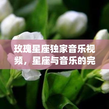 玫瑰星座獨(dú)家音樂視頻，星座與音樂的完美交融