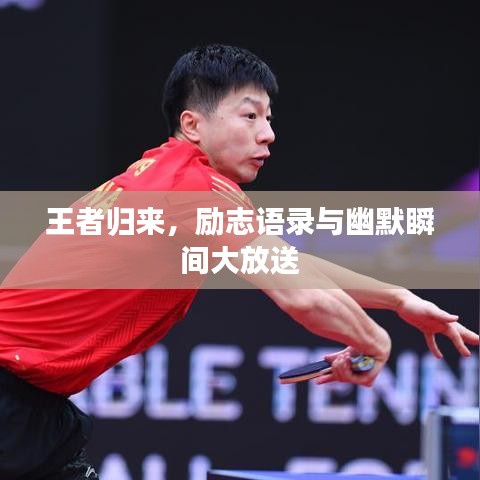 王者歸來，勵志語錄與幽默瞬間大放送