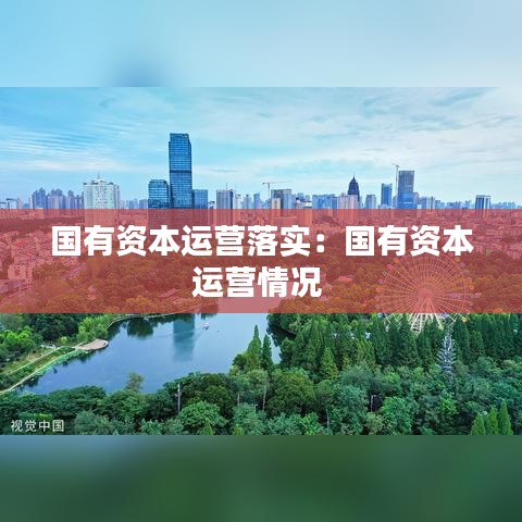 國有資本運(yùn)營落實(shí)：國有資本運(yùn)營情況 