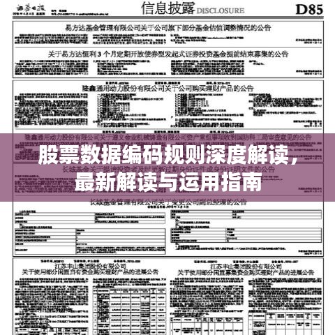 股票數(shù)據(jù)編碼規(guī)則深度解讀，最新解讀與運用指南