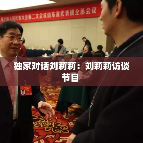 獨(dú)家對話劉莉莉：劉莉莉訪談節(jié)目 