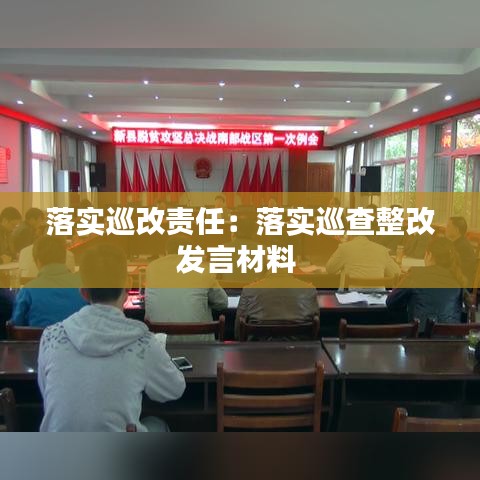 落實(shí)巡改責(zé)任：落實(shí)巡查整改發(fā)言材料 