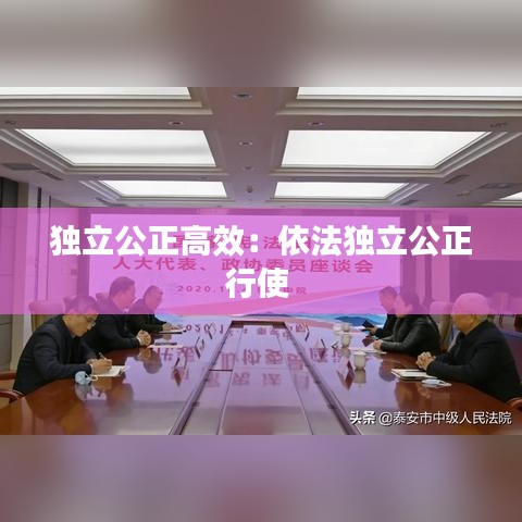 獨(dú)立公正高效：依法獨(dú)立公正行使 