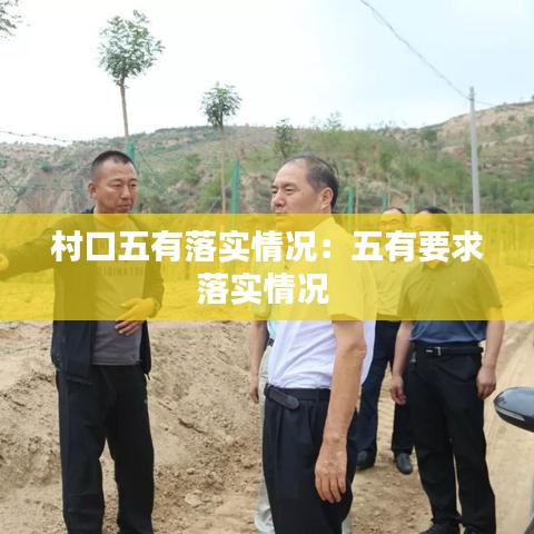 村口五有落實(shí)情況：五有要求落實(shí)情況 