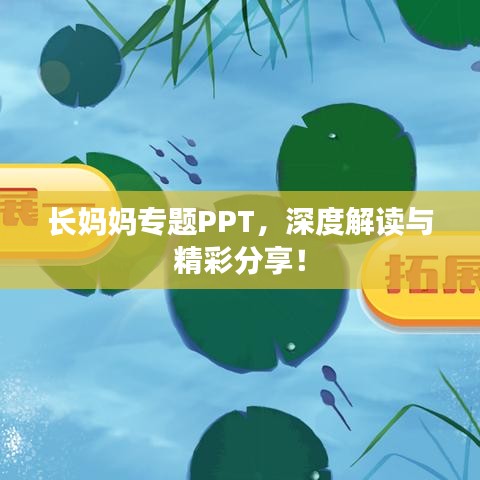 長媽媽專題PPT，深度解讀與精彩分享！
