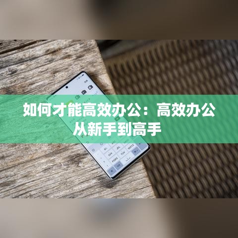 如何才能高效辦公：高效辦公從新手到高手 