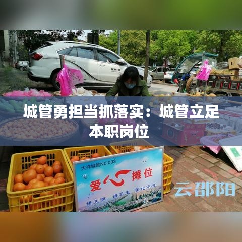 城管勇?lián)?dāng)抓落實：城管立足本職崗位 
