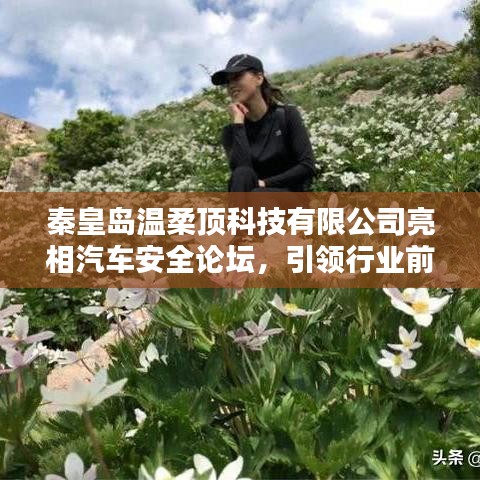 秦皇島溫柔頂科技亮相汽車安全論壇，引領(lǐng)前沿技術(shù)探討風潮