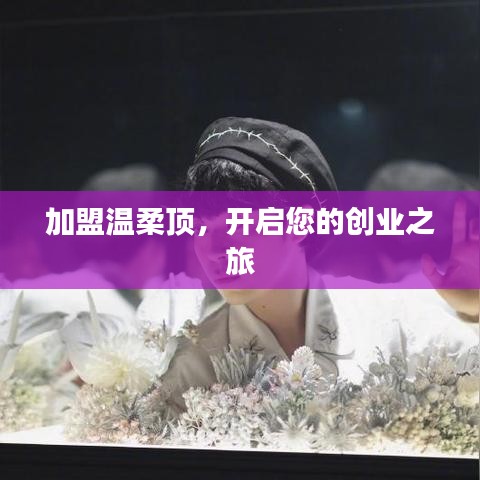 加盟溫柔頂，創(chuàng)業(yè)啟程啟航