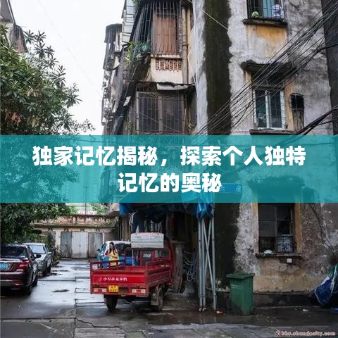 獨(dú)家記憶揭秘，探索個(gè)人獨(dú)特記憶的奧秘