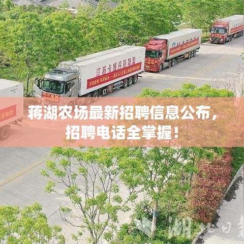 蔣湖農(nóng)場最新招聘信息公布，招聘電話全掌握！
