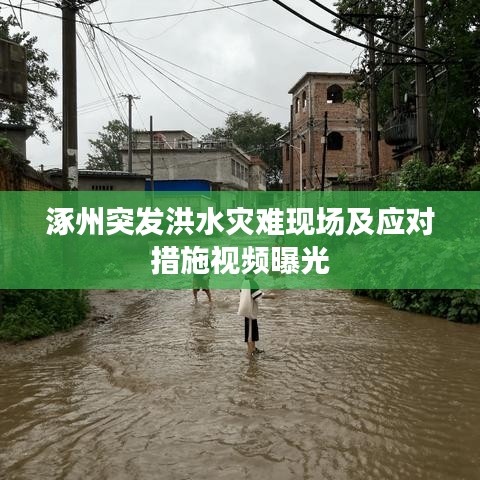 涿州突發(fā)洪水災(zāi)難現(xiàn)場(chǎng)及應(yīng)對(duì)措施視頻曝光