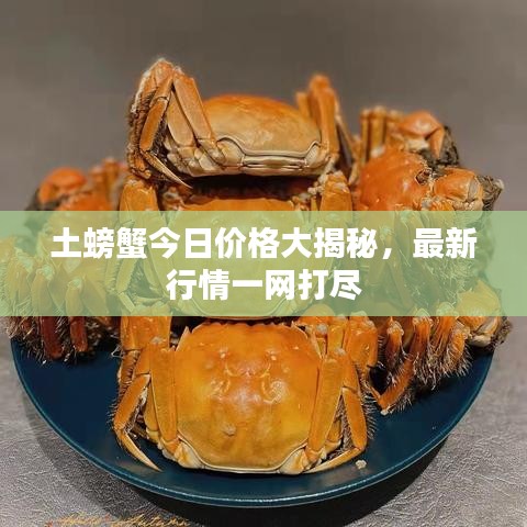 土螃蟹今日價格大揭秘，最新行情一網(wǎng)打盡