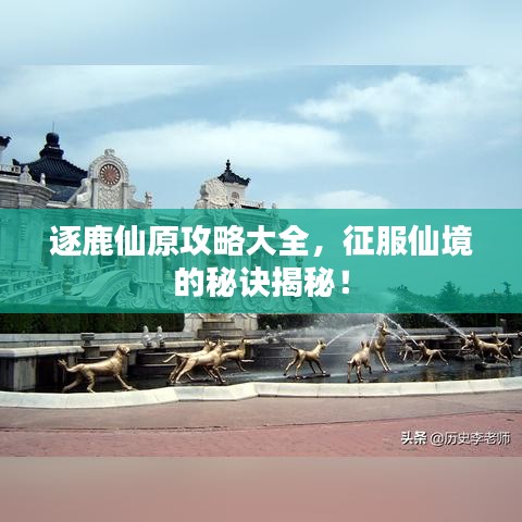 逐鹿仙原攻略大全，征服仙境的秘訣揭秘！