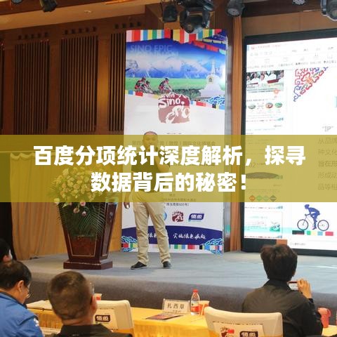 百度分項(xiàng)統(tǒng)計(jì)深度解析，探尋數(shù)據(jù)背后的秘密！