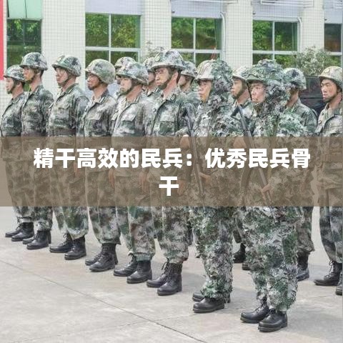 精干高效的民兵：優(yōu)秀民兵骨干 