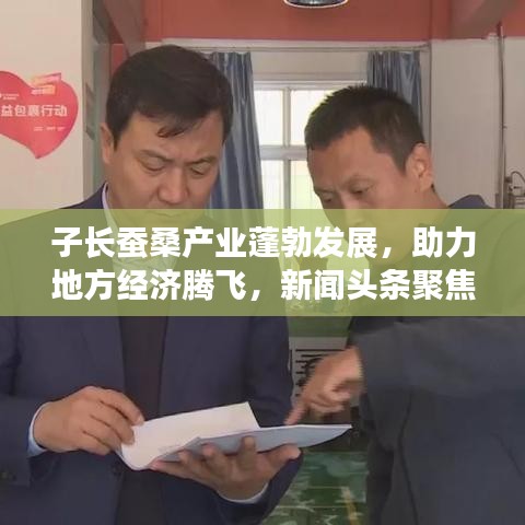 子長(zhǎng)蠶桑產(chǎn)業(yè)蓬勃發(fā)展，助力地方經(jīng)濟(jì)騰飛，新聞?lì)^條聚焦蠶桑產(chǎn)業(yè)新動(dòng)態(tài)