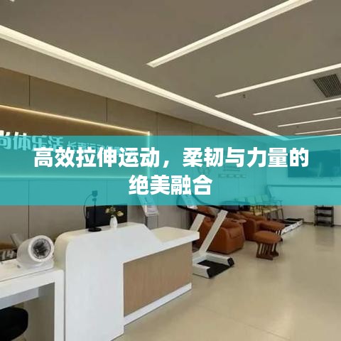 草率從事 第3頁