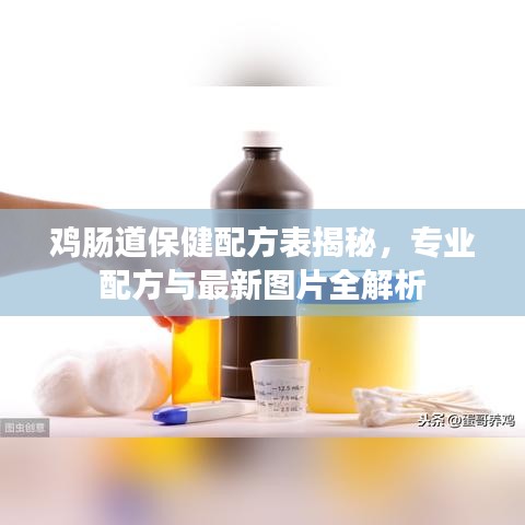 雞腸道保健配方表揭秘，專業(yè)配方與最新圖片全解析
