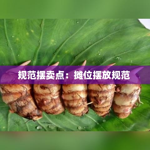 規(guī)范擺賣點：攤位擺放規(guī)范 