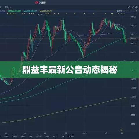 鼎益豐最新公告動態(tài)揭秘