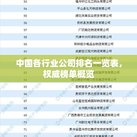 中國各行業(yè)公司排名一覽表，權(quán)威榜單概覽