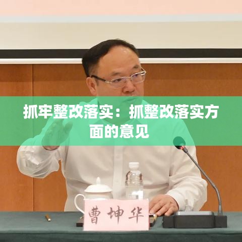 抓牢整改落實：抓整改落實方面的意見 